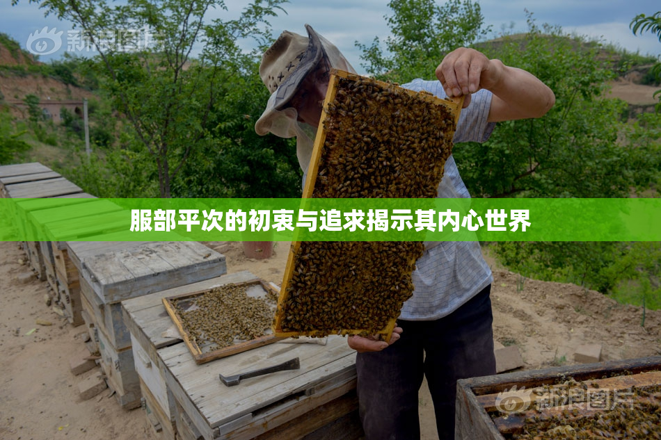 服部平次的初衷与追求揭示其内心世界