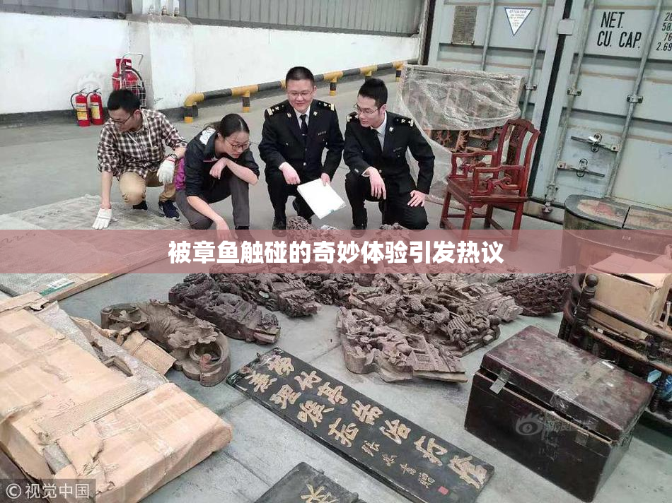 被章鱼触碰的奇妙体验引发热议