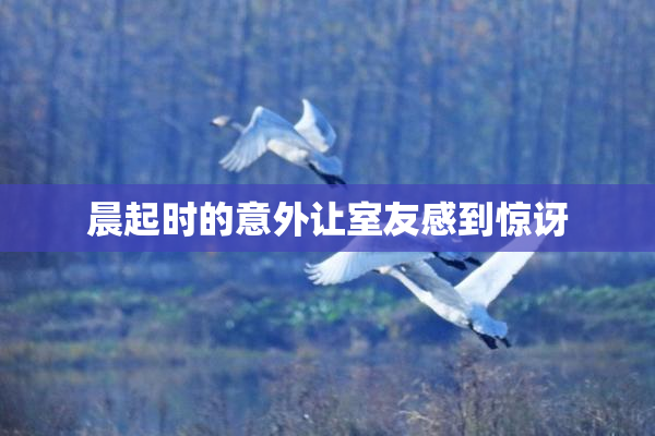 晨起时的意外让室友感到惊讶