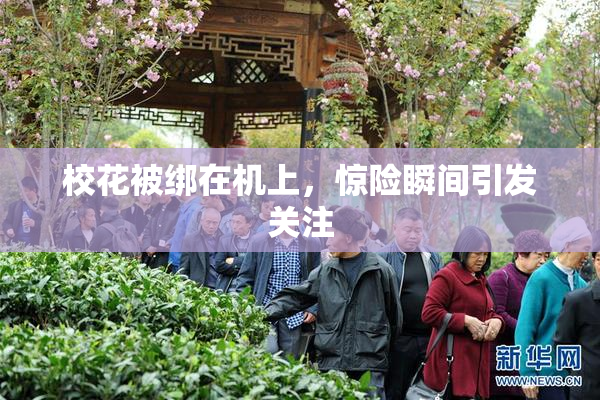 校花被绑在机上，惊险瞬间引发关注