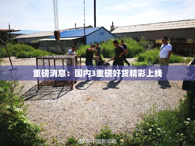 重磅消息：国内3重磅好货精彩上线