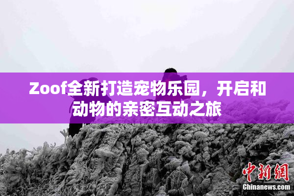 Zoof全新打造宠物乐园，开启和动物的亲密互动之旅