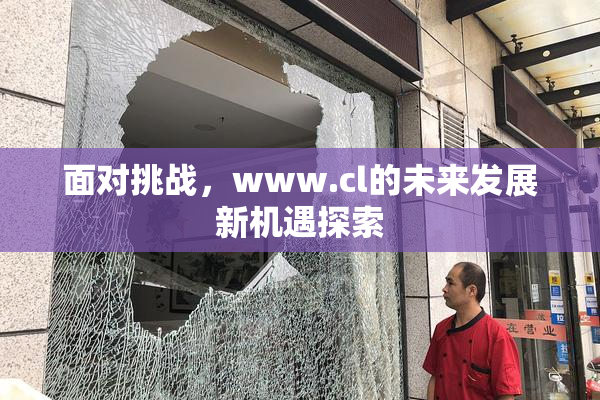 面对挑战，www.cl的未来发展新机遇探索