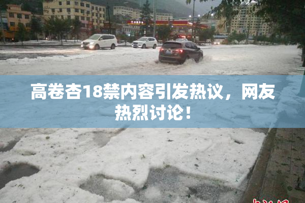 高卷杏18禁内容引发热议，网友热烈讨论！