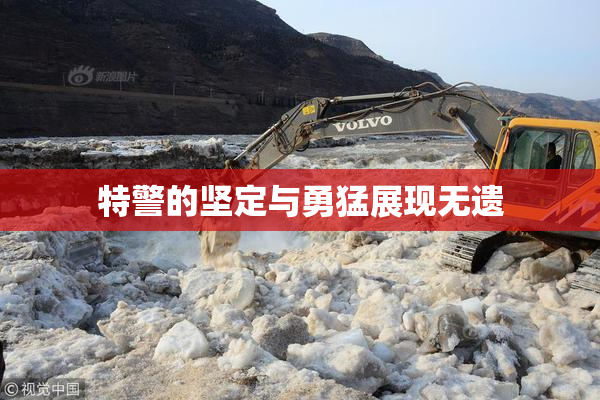 特警的坚定与勇猛展现无遗
