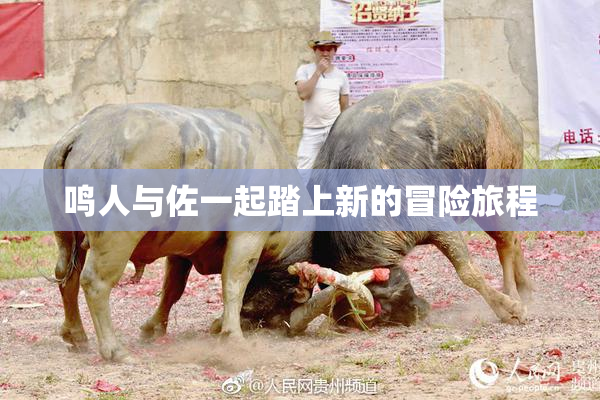 鸣人与佐一起踏上新的冒险旅程