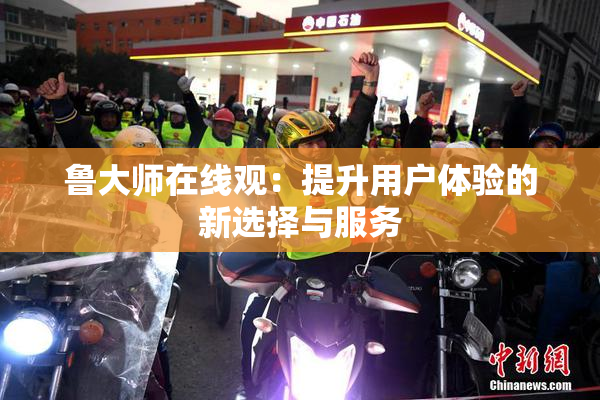 鲁大师在线观：提升用户体验的新选择与服务