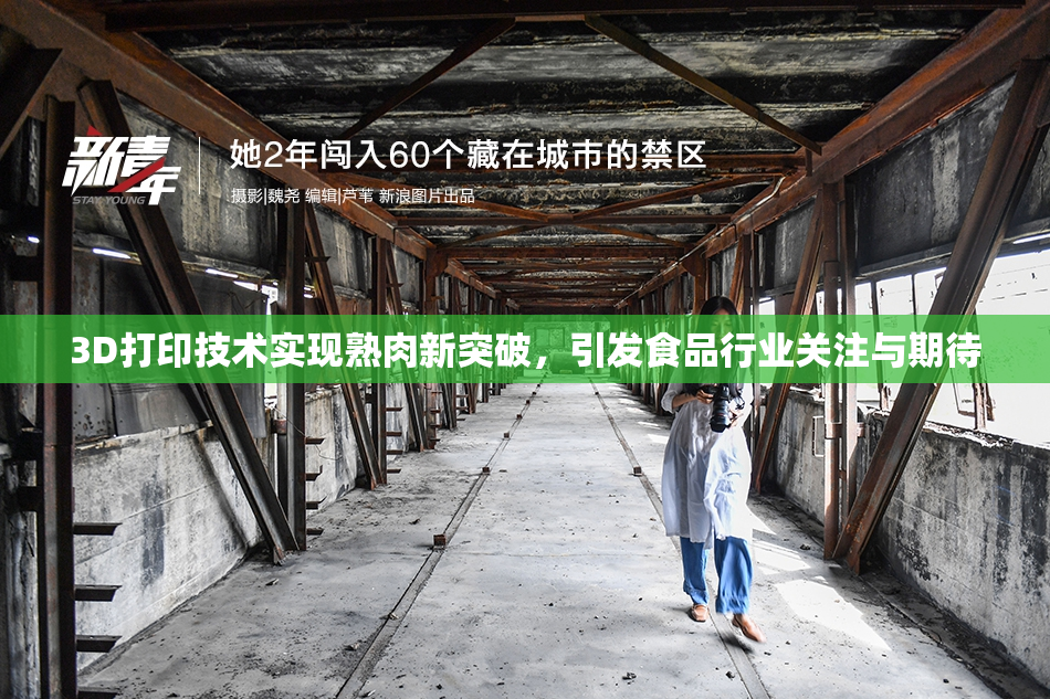 3D打印技术实现熟肉新突破，引发食品行业关注与期待