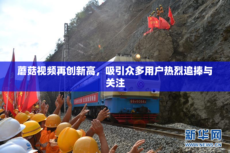 蘑菇视频再创新高，吸引众多用户热烈追捧与关注