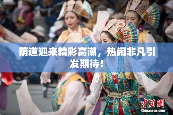 荫道迎来精彩高潮，热闹非凡引发期待！