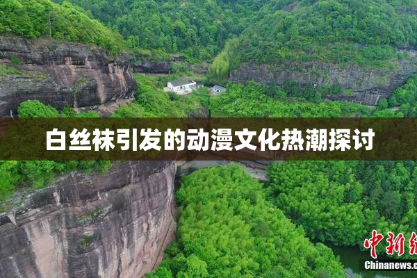 白丝袜引发的动漫文化热潮探讨