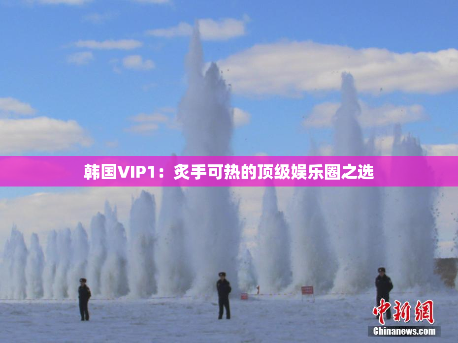 韩国VIP1：炙手可热的顶级娱乐圈之选