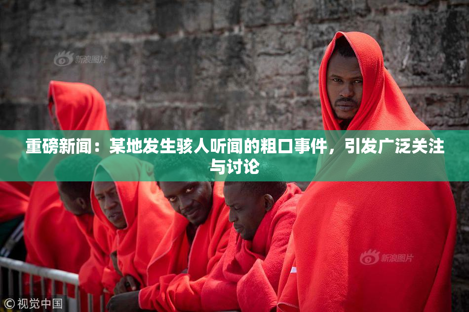 重磅新闻：某地发生骇人听闻的粗口事件，引发广泛关注与讨论