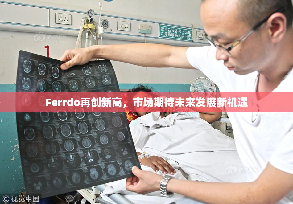 Ferrdo再创新高，市场期待未来发展新机遇