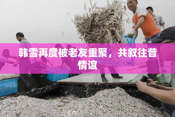 韩雪再度被老友重聚，共叙往昔情谊