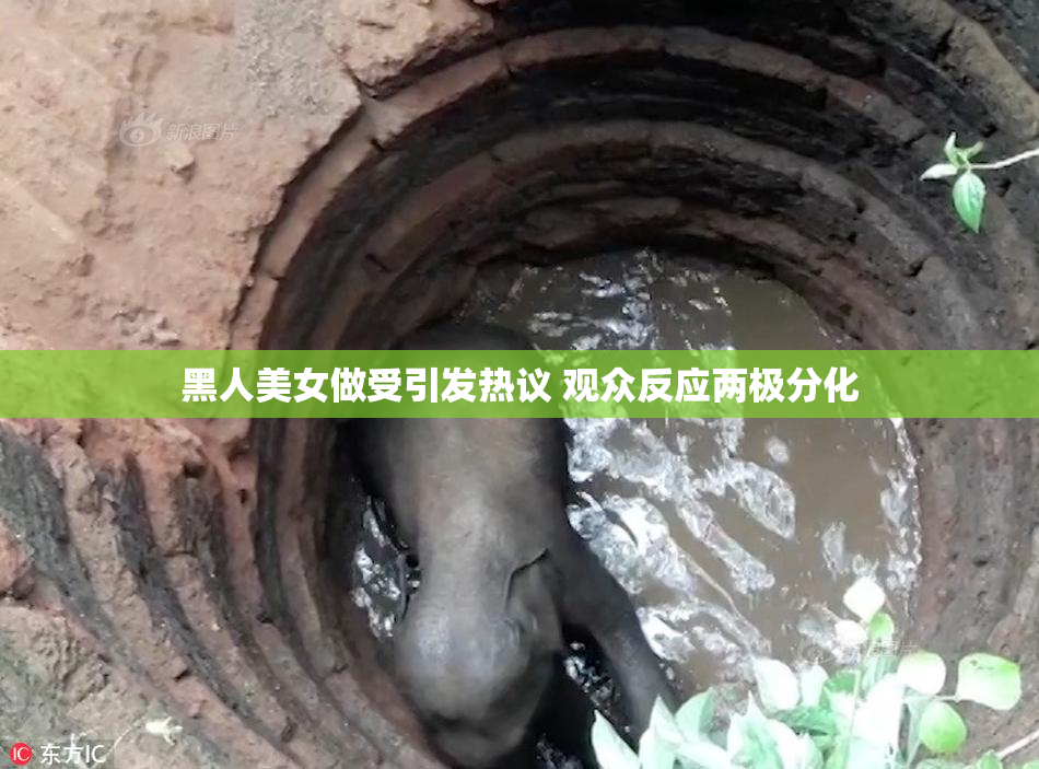 黑人美女做受引发热议 观众反应两极分化