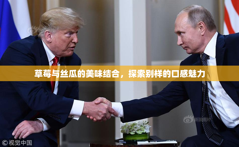 草莓与丝瓜的美味结合，探索别样的口感魅力