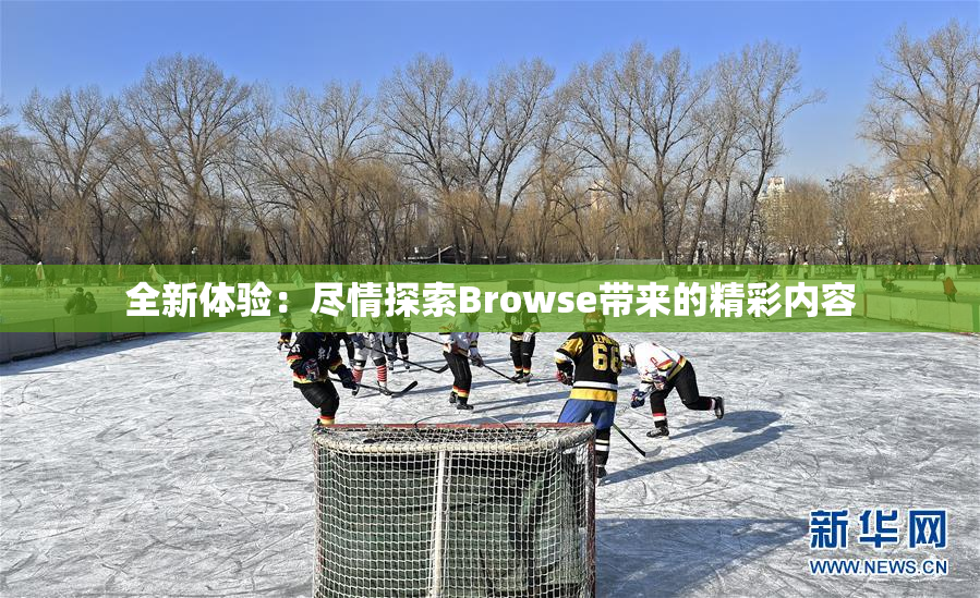 全新体验：尽情探索Browse带来的精彩内容