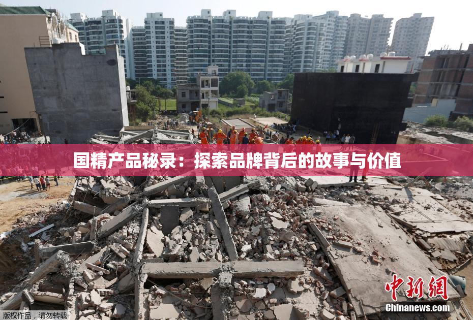 国精产品秘录：探索品牌背后的故事与价值