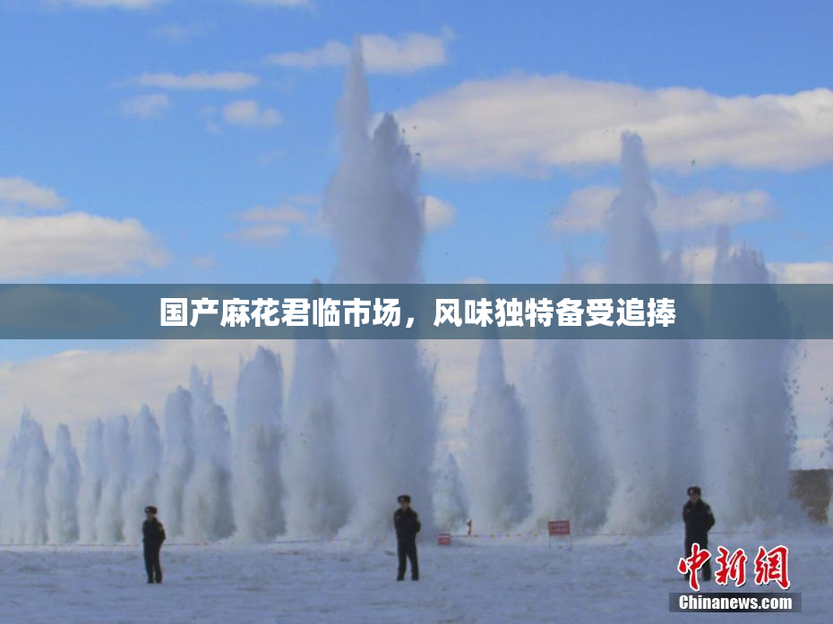 国产麻花君临市场，风味独特备受追捧