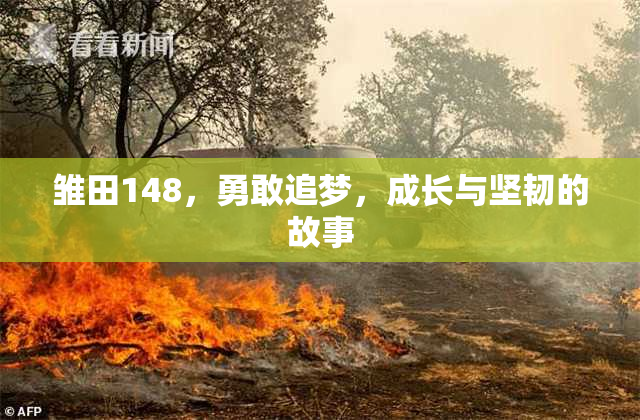 雏田148，勇敢追梦，成长与坚韧的故事