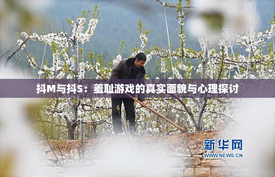 抖M与抖S：羞耻游戏的真实面貌与心理探讨