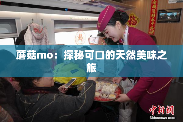 蘑菇mo：探秘可口的天然美味之旅