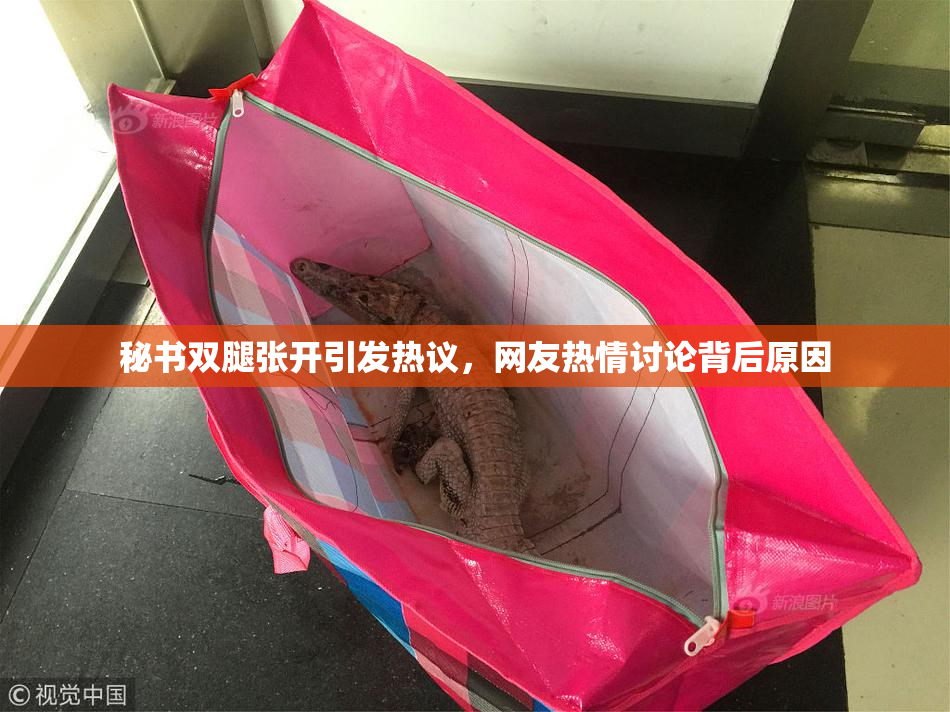 秘书双腿张开引发热议，网友热情讨论背后原因