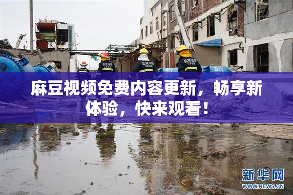 麻豆视频免费内容更新，畅享新体验，快来观看！