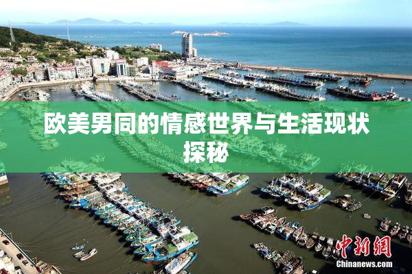 欧美男同的情感世界与生活现状探秘