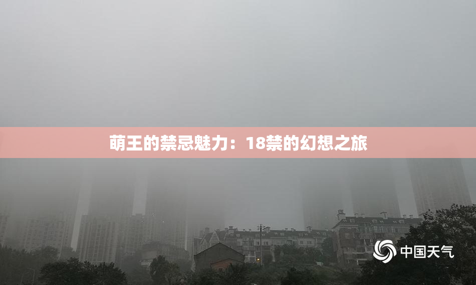 萌王的禁忌魅力：18禁的幻想之旅