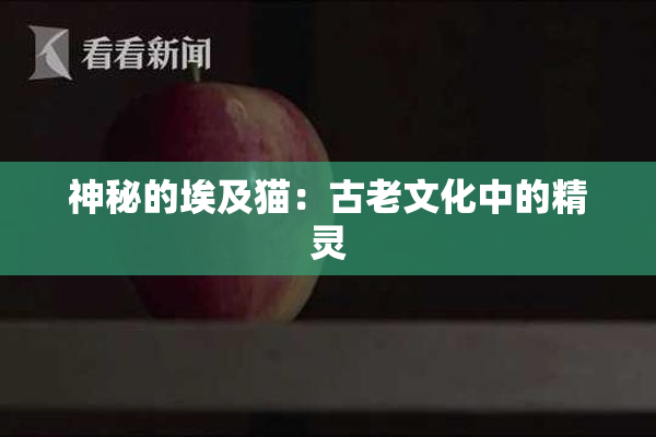 神秘的埃及猫：古老文化中的精灵