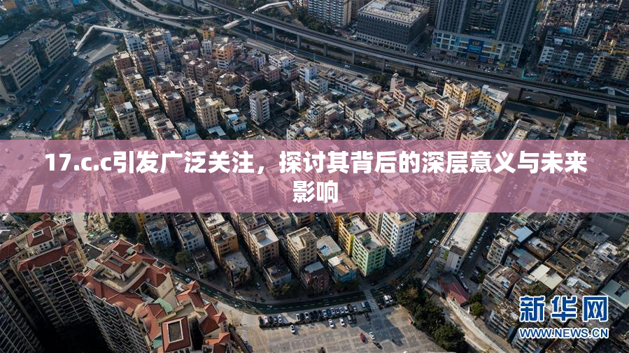 17.c.c引发广泛关注，探讨其背后的深层意义与未来影响