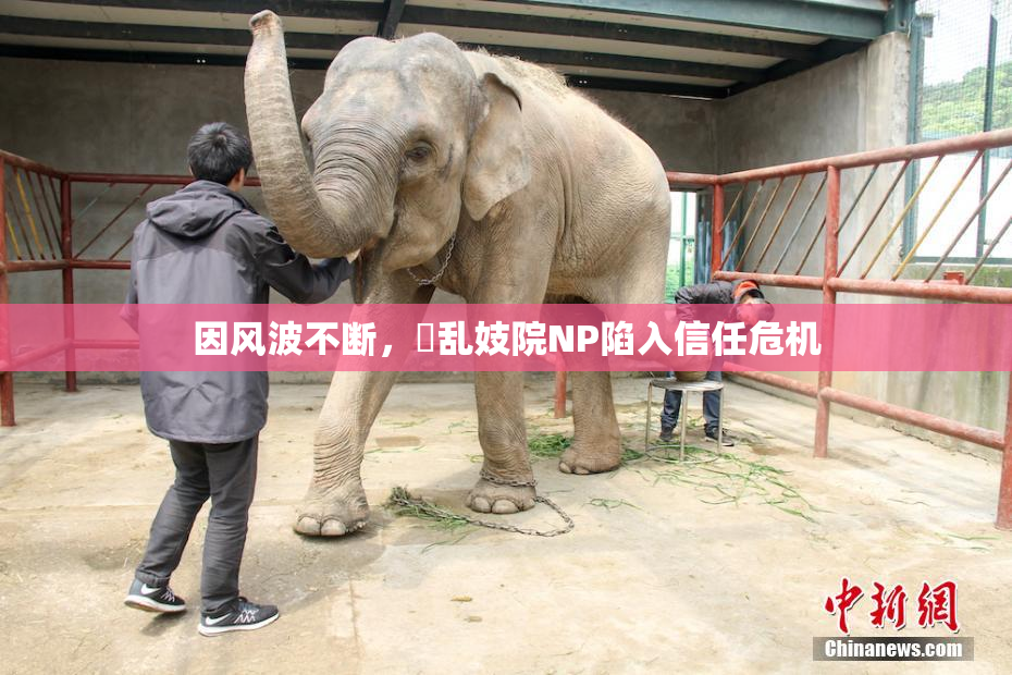 因风波不断，婬乱妓院NP陷入信任危机