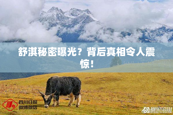 舒淇秘密曝光？背后真相令人震惊！