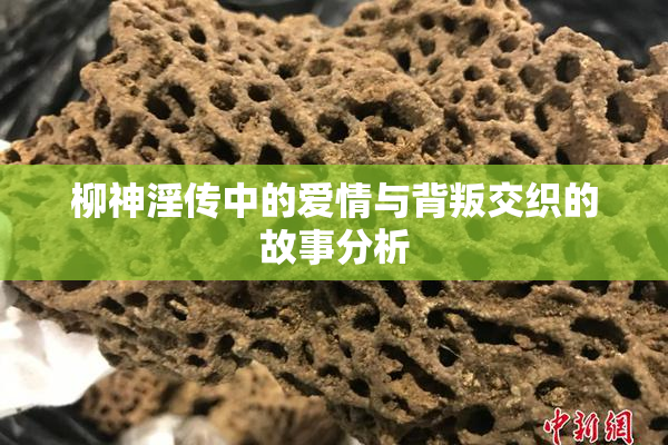 柳神淫传中的爱情与背叛交织的故事分析