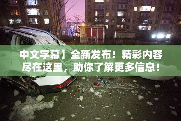 中文字幕】全新发布！精彩内容尽在这里，助你了解更多信息！