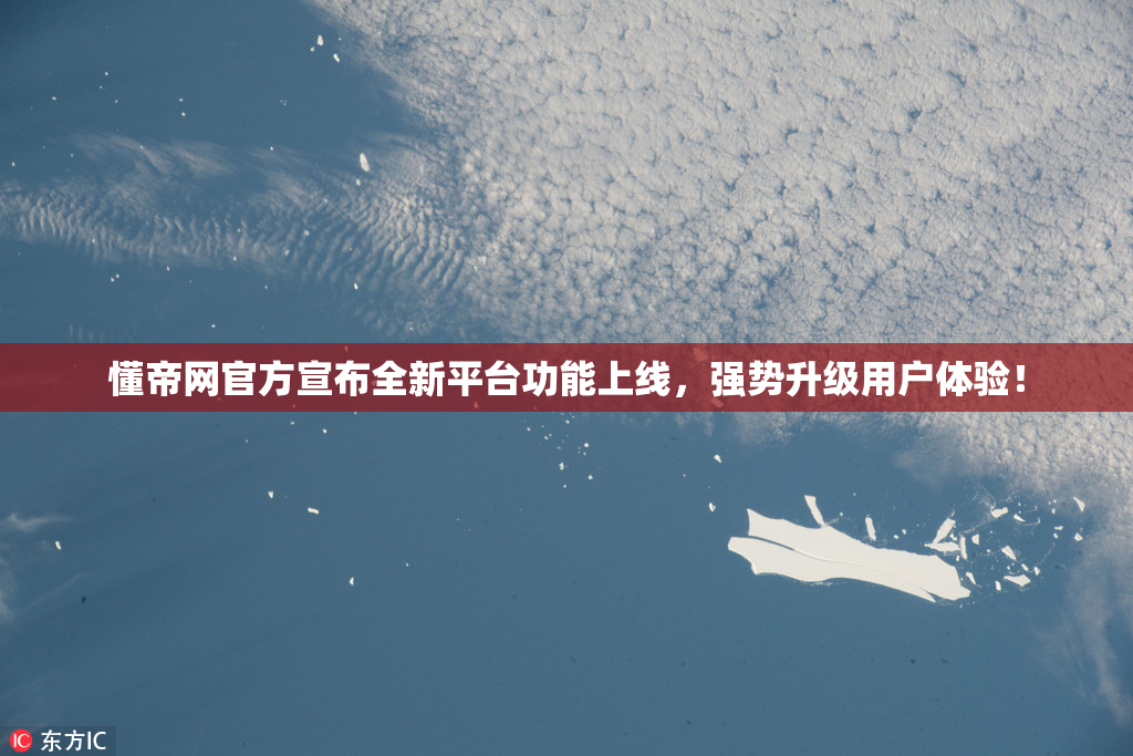 懂帝网官方宣布全新平台功能上线，强势升级用户体验！