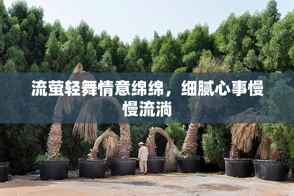 流萤轻舞情意绵绵，细腻心事慢慢流淌