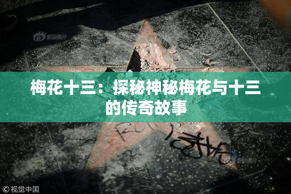 梅花十三：探秘神秘梅花与十三的传奇故事