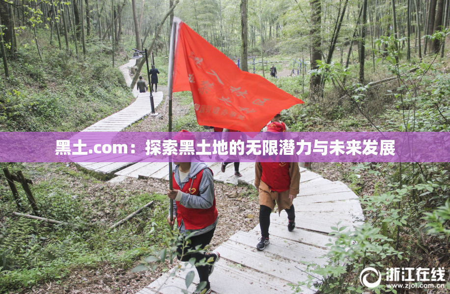 黑土.com：探索黑土地的无限潜力与未来发展