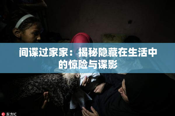 间谍过家家：揭秘隐藏在生活中的惊险与谍影