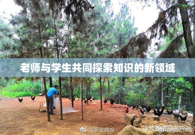 老师与学生共同探索知识的新领域