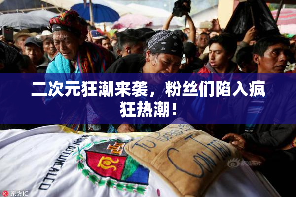二次元狂潮来袭，粉丝们陷入疯狂热潮！
