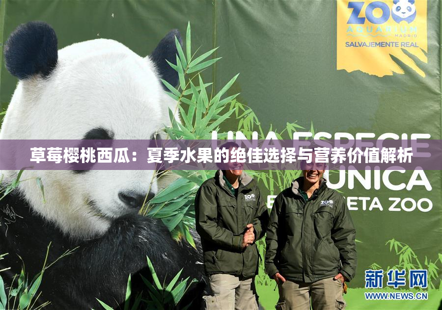 草莓樱桃西瓜：夏季水果的绝佳选择与营养价值解析