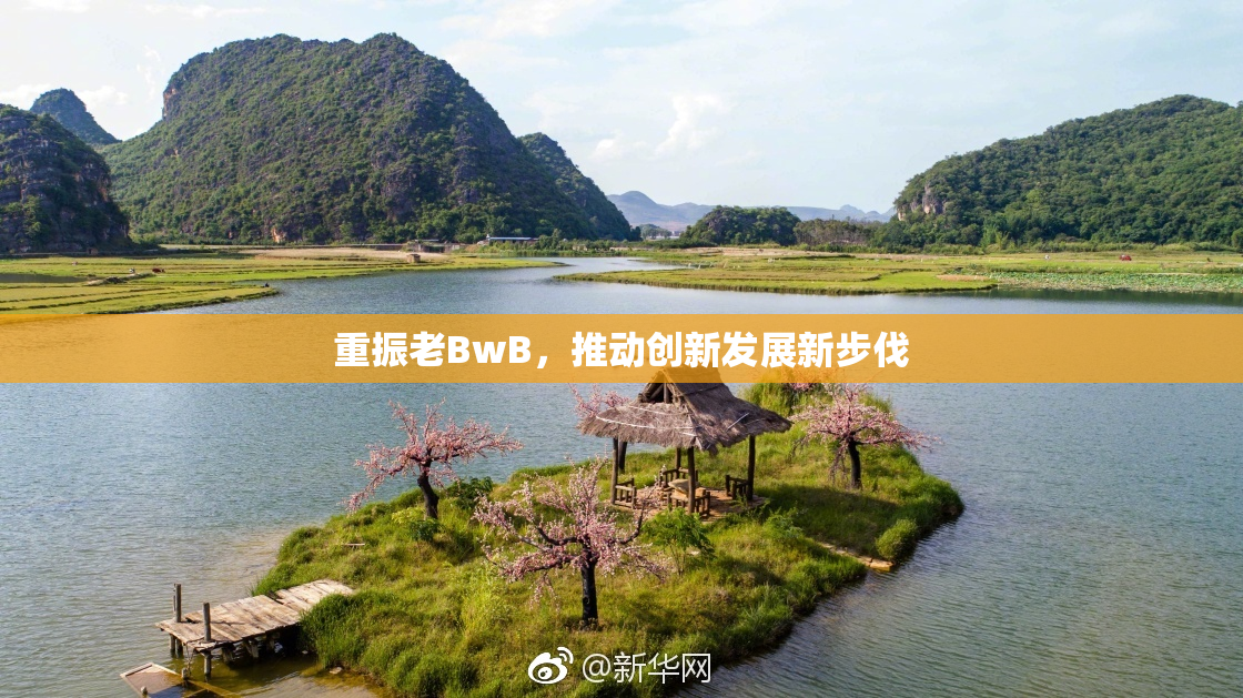 重振老BwB，推动创新发展新步伐