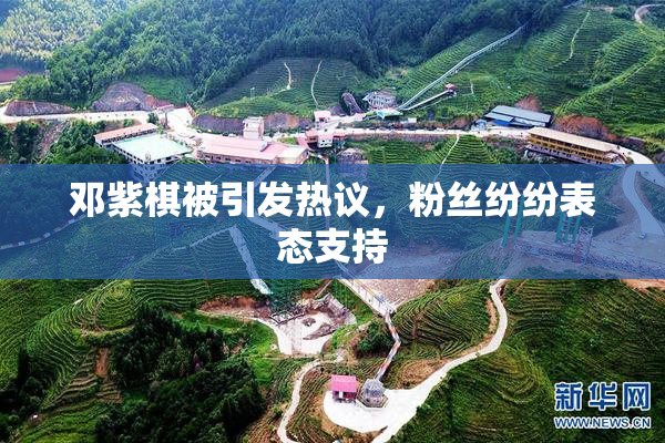 邓紫棋被引发热议，粉丝纷纷表态支持