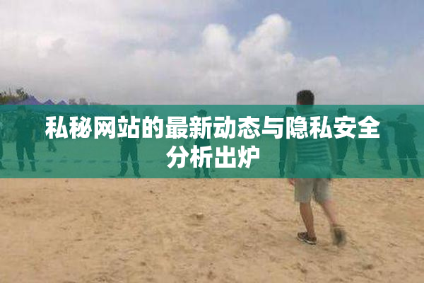 私秘网站的最新动态与隐私安全分析出炉