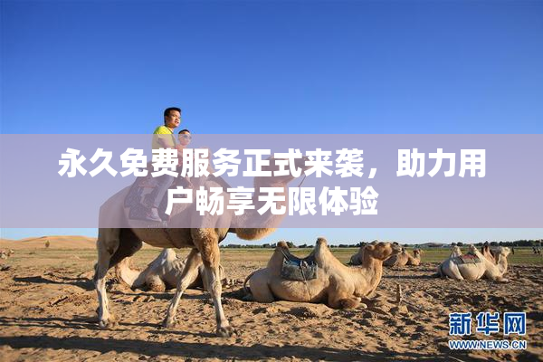 永久免费服务正式来袭，助力用户畅享无限体验