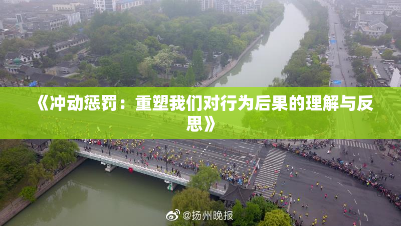《冲动惩罚：重塑我们对行为后果的理解与反思》